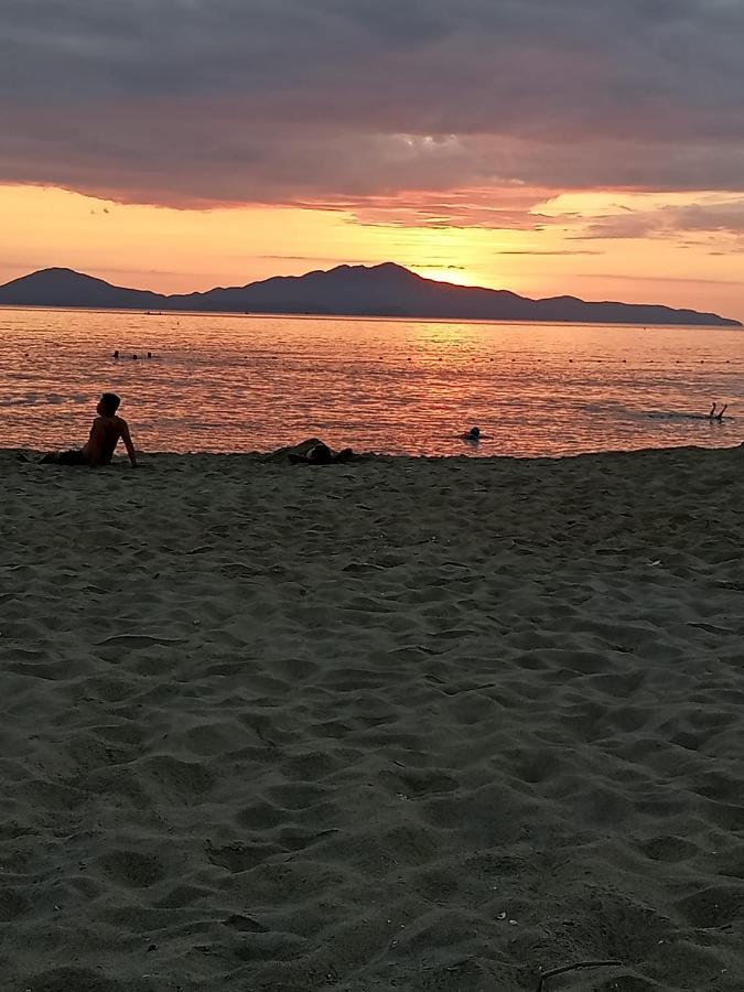 Pearl Beach Homestay Hoi An Dış mekan fotoğraf