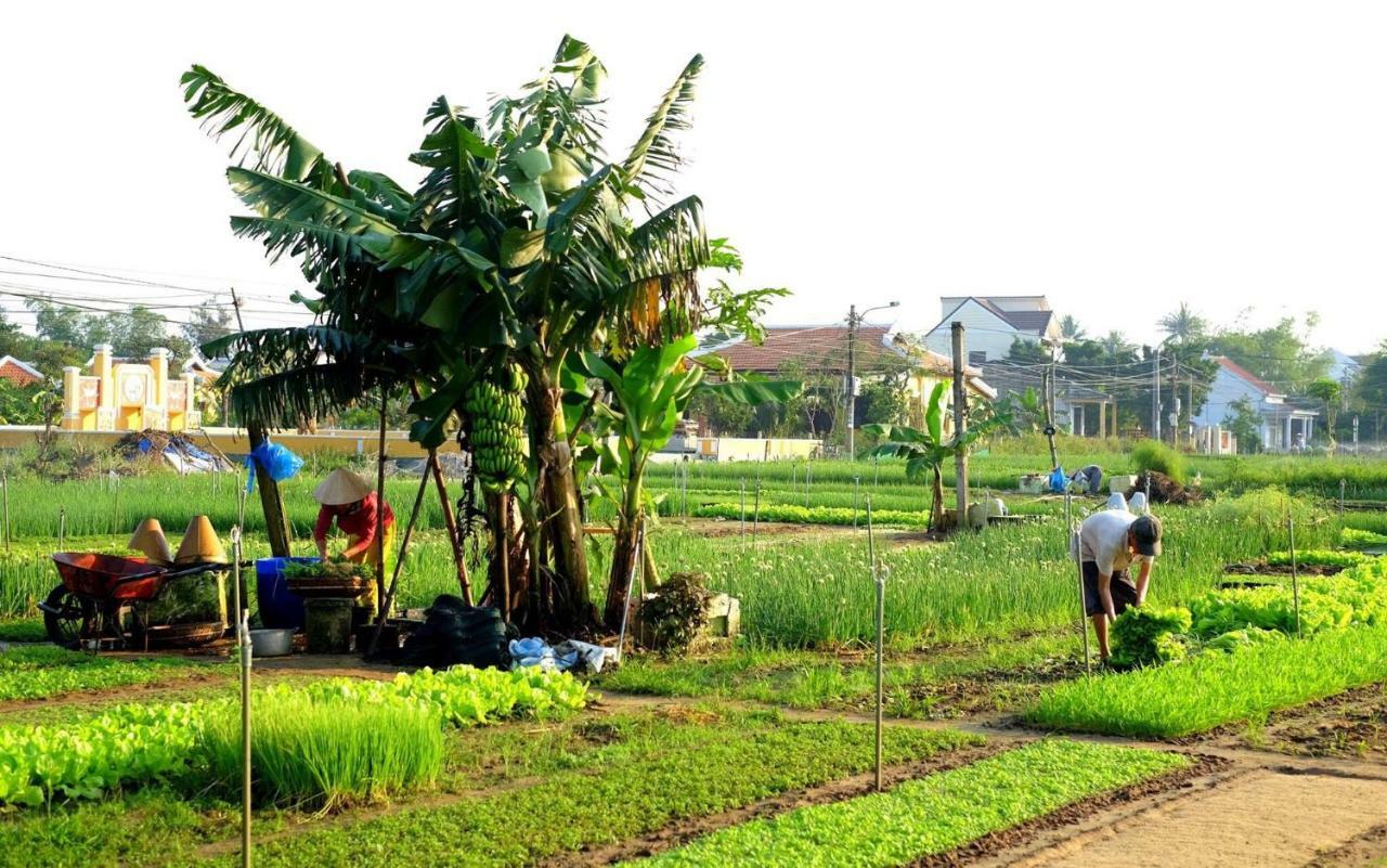 Pearl Beach Homestay Hoi An Dış mekan fotoğraf